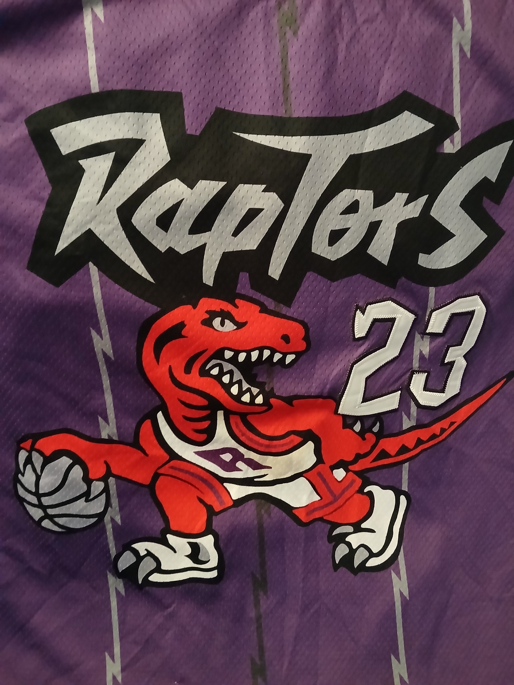 Toronto Raptors, Fred Vanfleet Jersey, Size XL